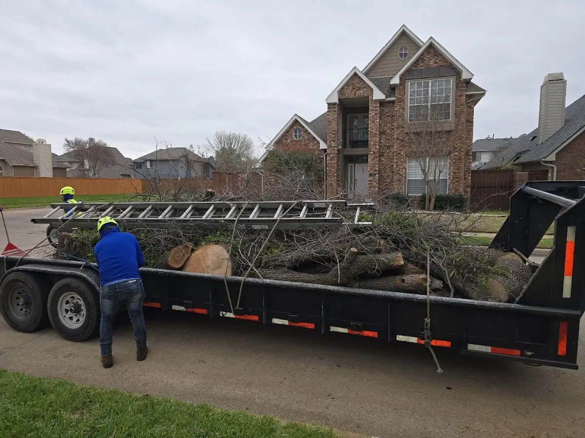 Expert Lot Clearing with proper safety equipment in Friars Point